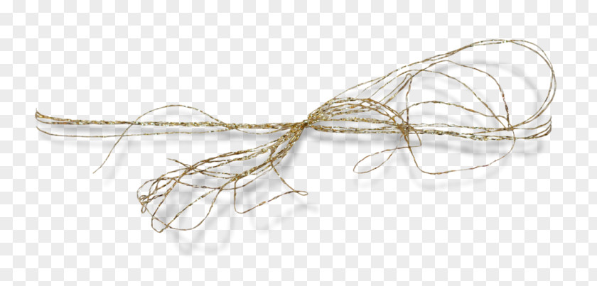Net Wire Body Jewellery Line PNG