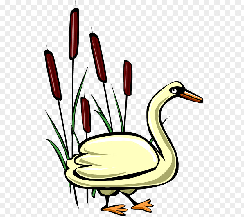 Swan Vector Cygnini Duck Goose Clip Art PNG