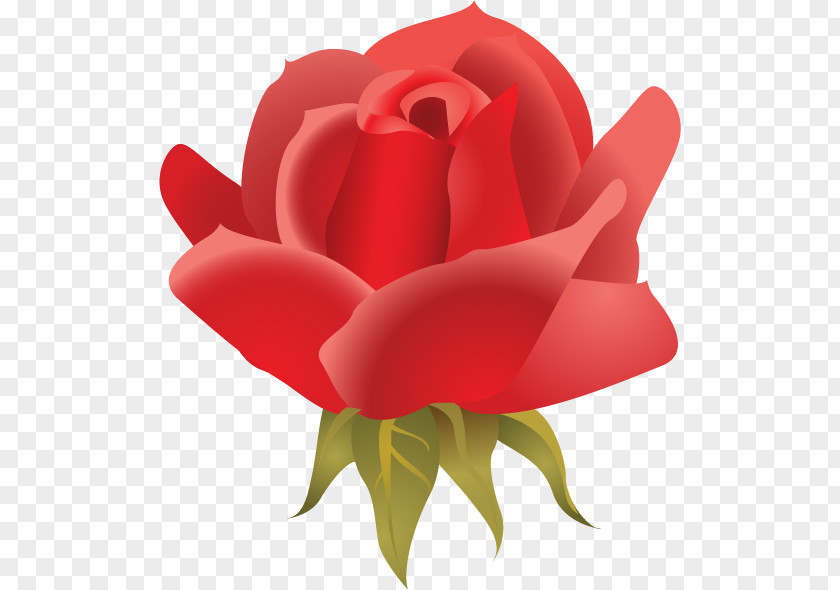 Valentine Silhouette Rose Garden Roses Image Flower Clip Art PNG