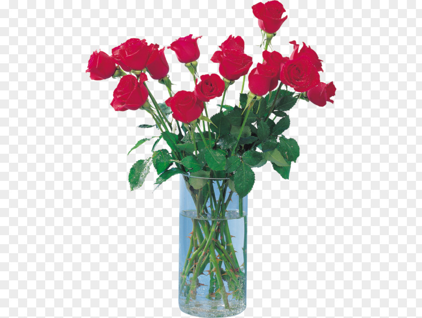 Vase Garden Roses Cabbage Rose Flower Bouquet PNG