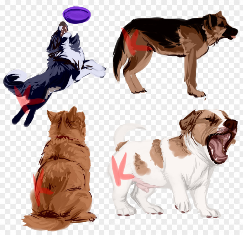 Watercolor Puppy Dog Breed Companion Clothes PNG