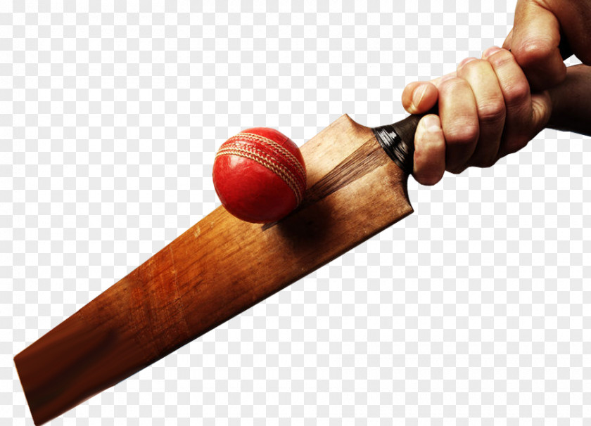 Ball Cricket Bats Batting Balls PNG