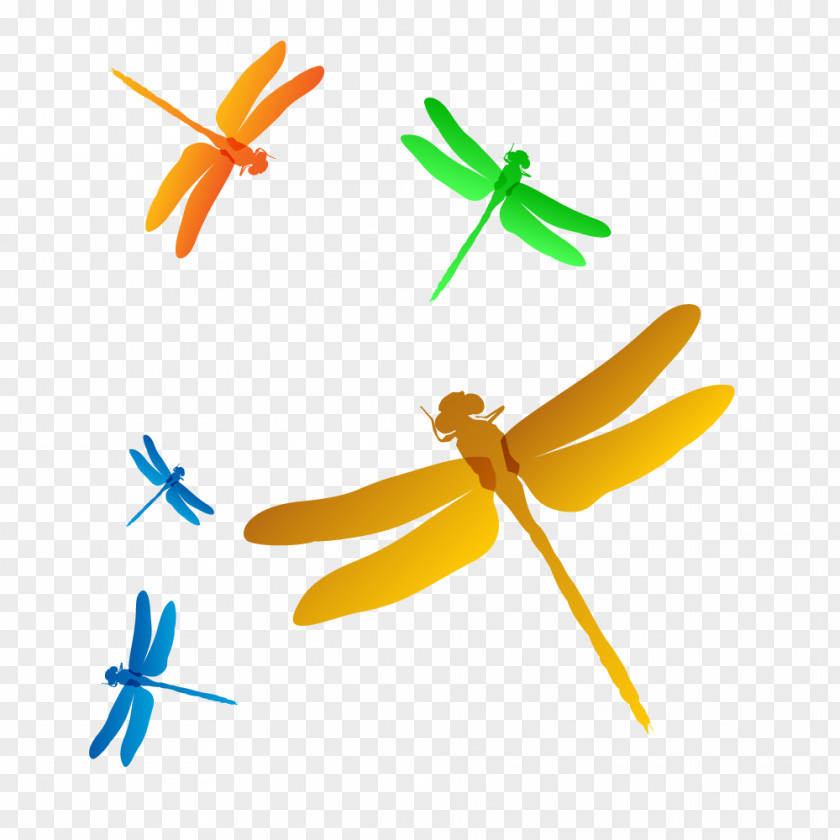 Color Dragonfly Clip Art PNG