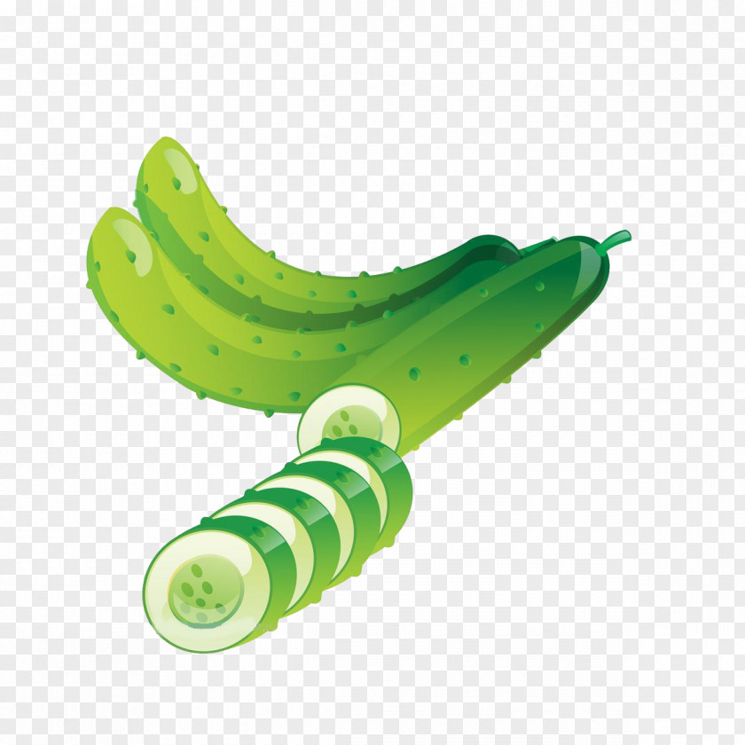 Cucumber Vegetable Illustration PNG