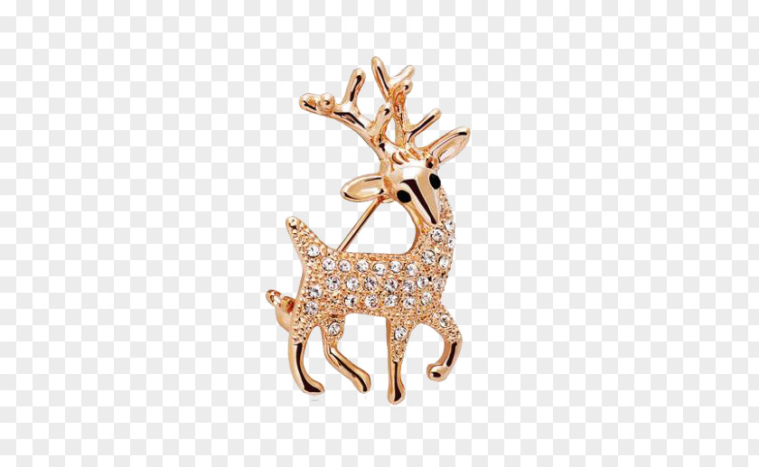Deer Brooch Earring Jewellery Rhinestone Pin PNG