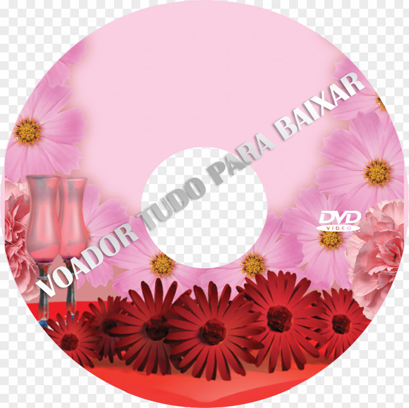 Dvd Dvd-box Compact Disc PNG