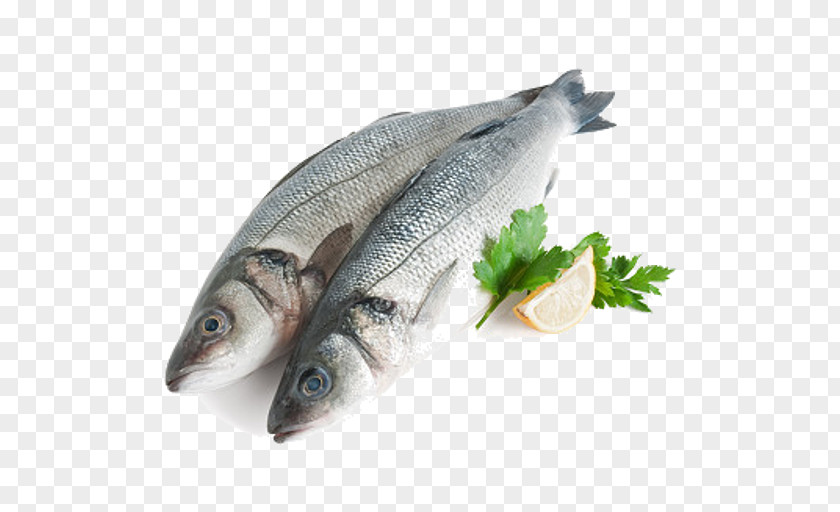 Fish Products Oily Herring PNG