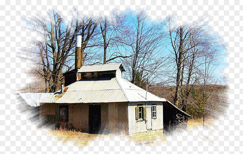 House Sugar Shack Property Roof Cabane PNG