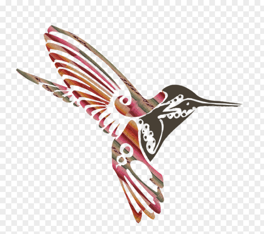 Hummingbird Drawing Painting PNG