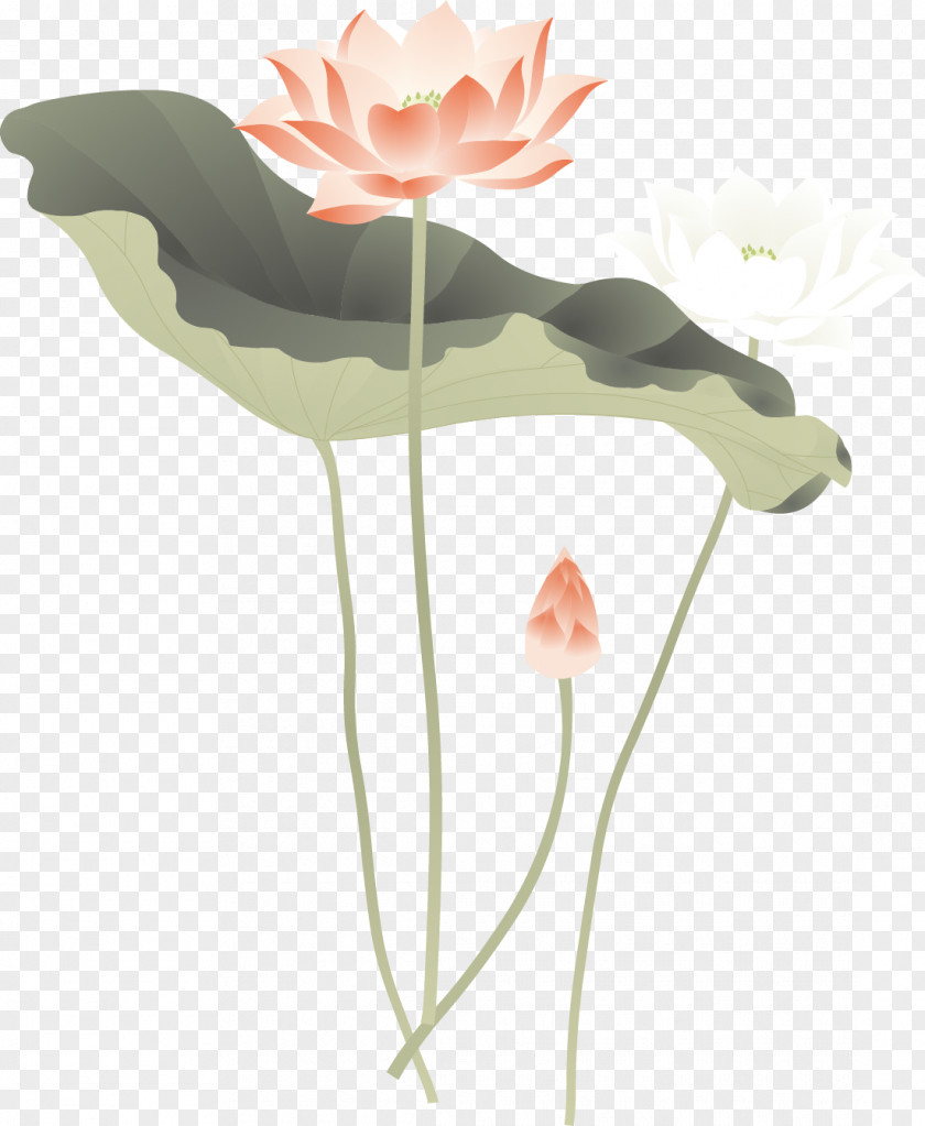 Lotus Leaf Flower Clip Art PNG