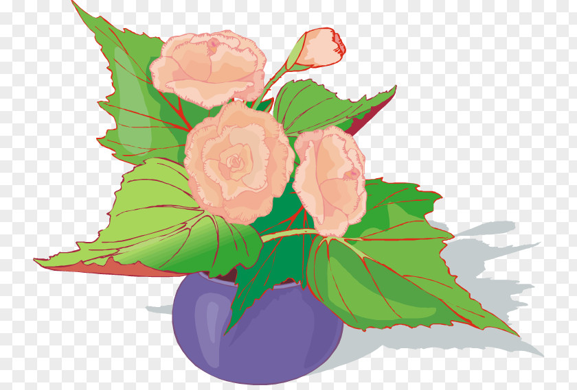 Perennial Plant Rose Family Pink Flower Cartoon PNG