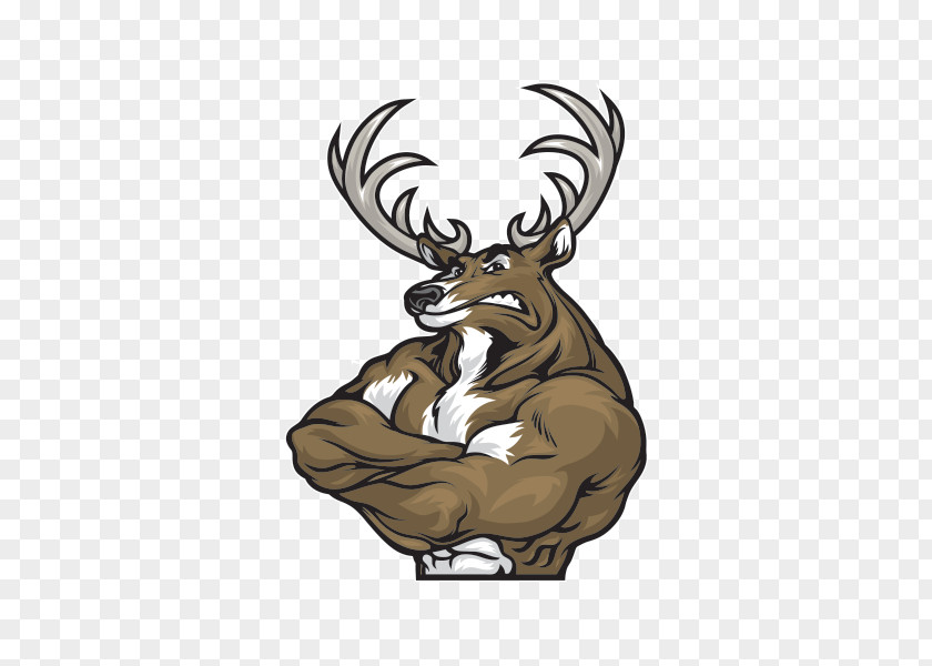 Reindeer Elk Roe Deer Muscle PNG