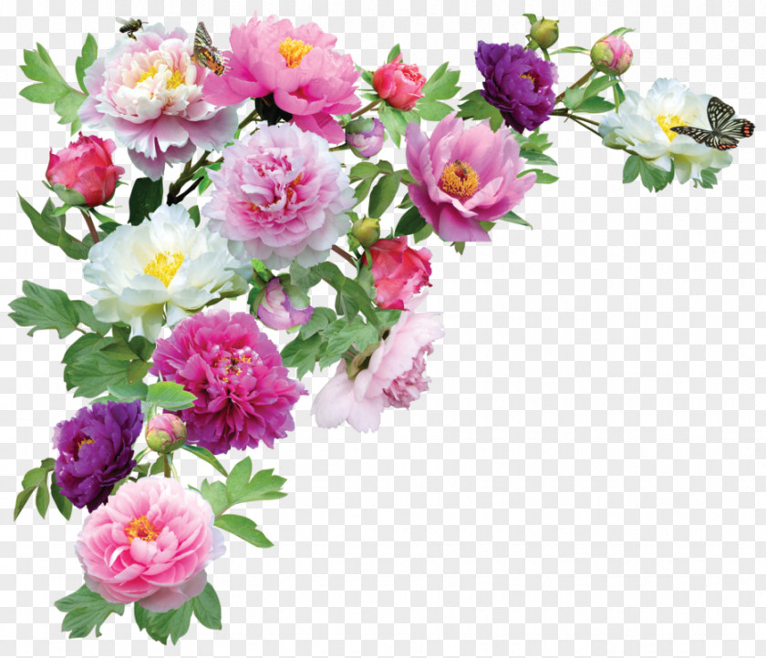 Subshrubby Peony Flower Bouquet Clip Art PNG
