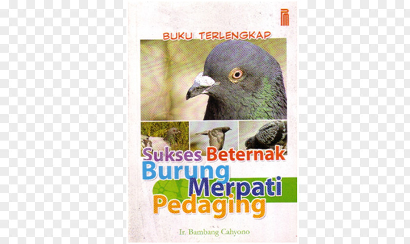 Book Novel Bird Indonesian Food PNG