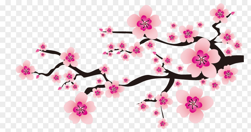 Cherry Blossoms Flower Plum Blossom PNG