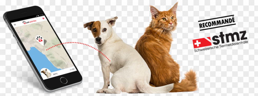 Creative Pet Dog Cat Microchip Implant GPS Tracking Unit PNG