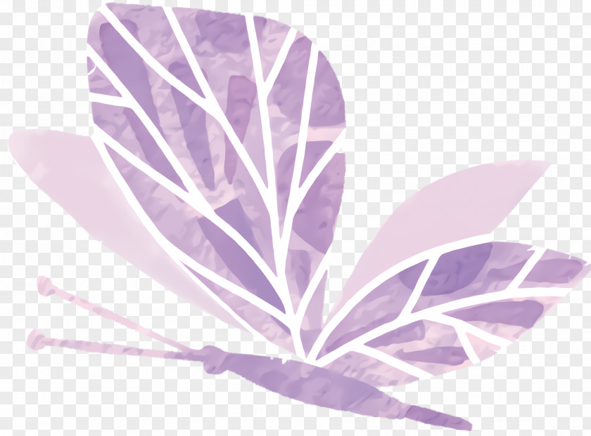 Flower Plant Violet PNG
