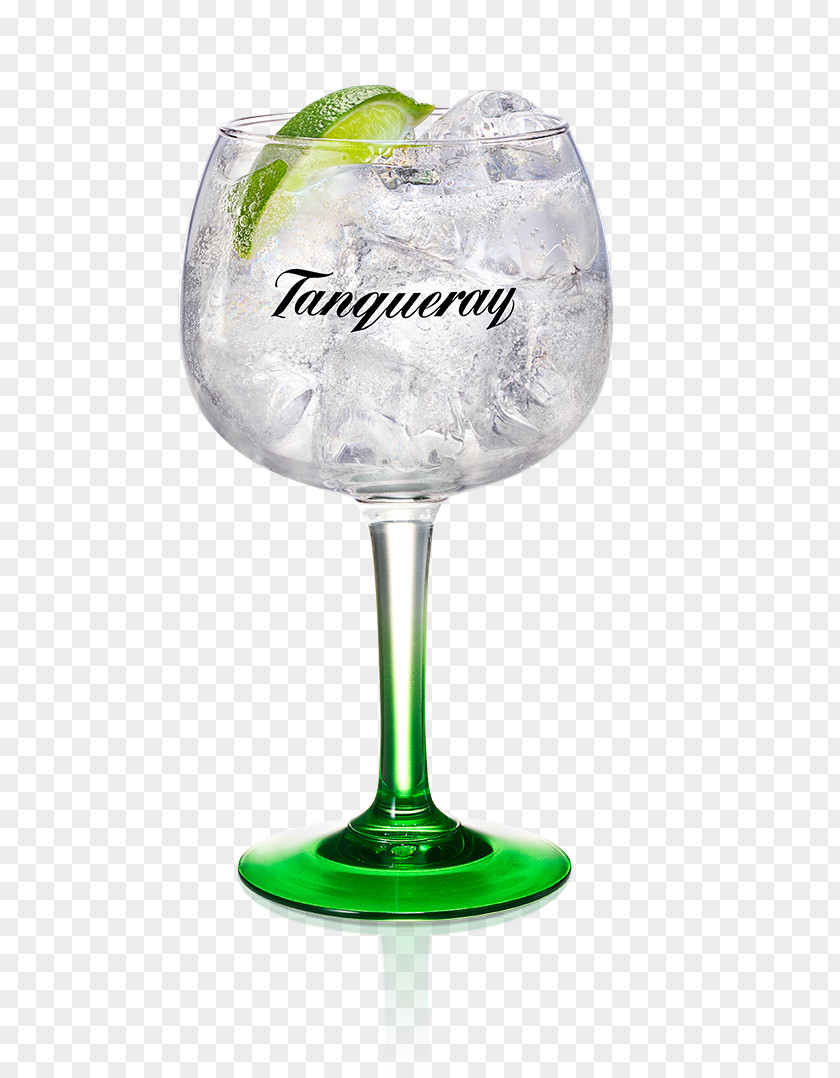 Gin Tonic Tanqueray And Distilled Beverage Water PNG