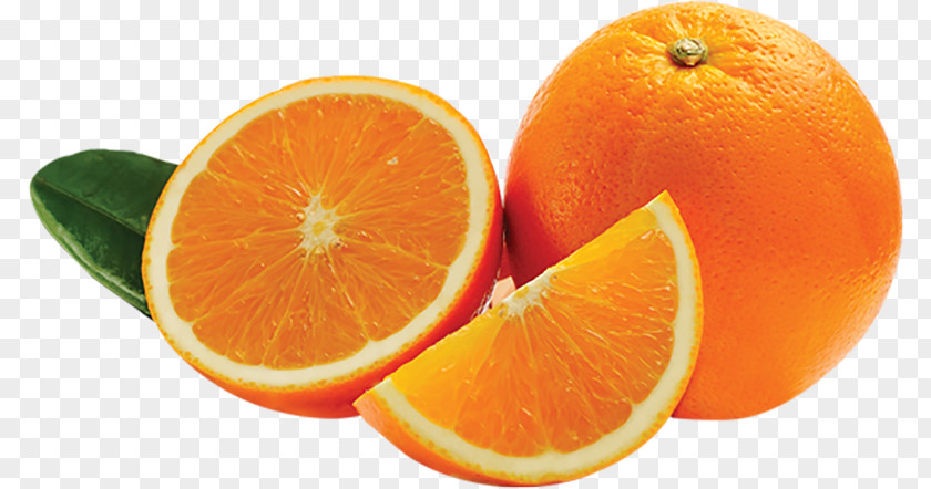 Grapefruit Blood Orange Mandarin Tangerine Bitter Valencia PNG