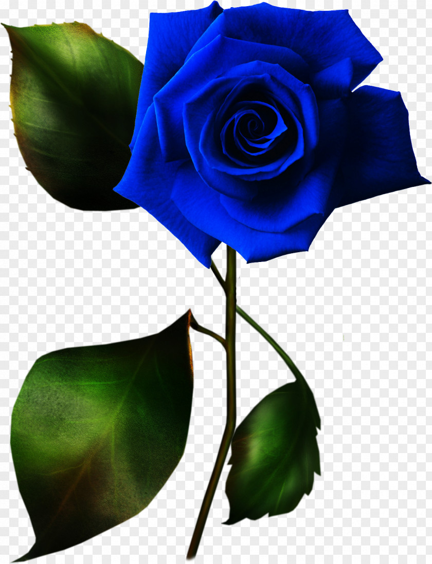Lilac Rose Clip Art PNG