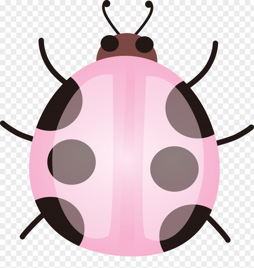 Pink Insect PNG