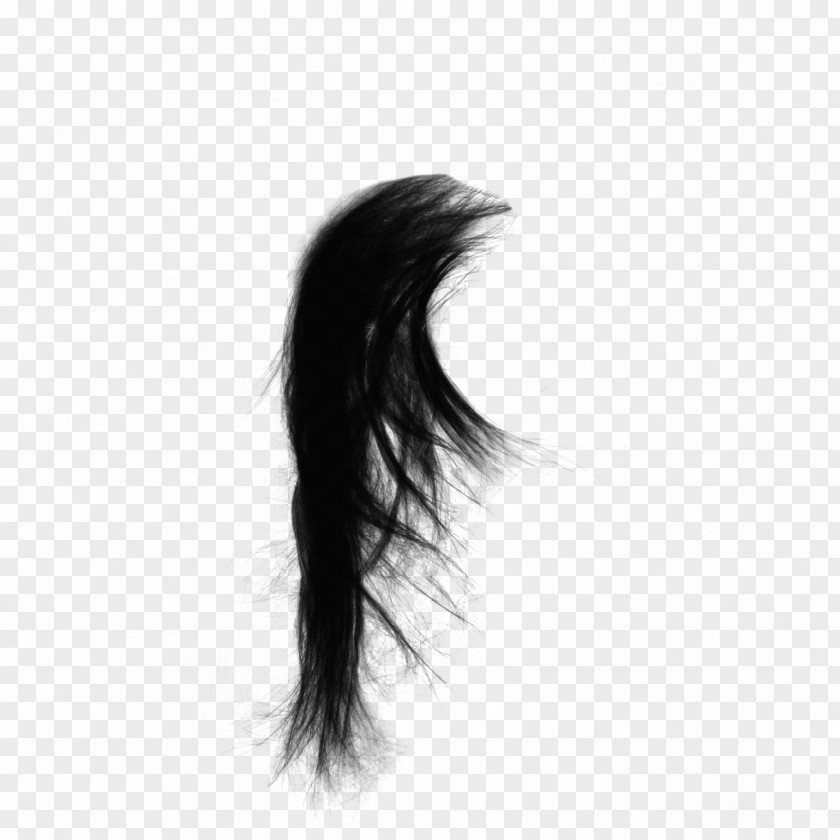 Real Long Hair Drawing Capelli Black PNG