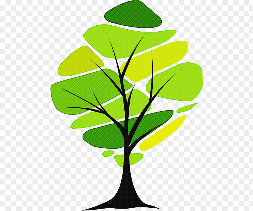 Flower Houseplant Leaf Green Plant Tree Stem PNG