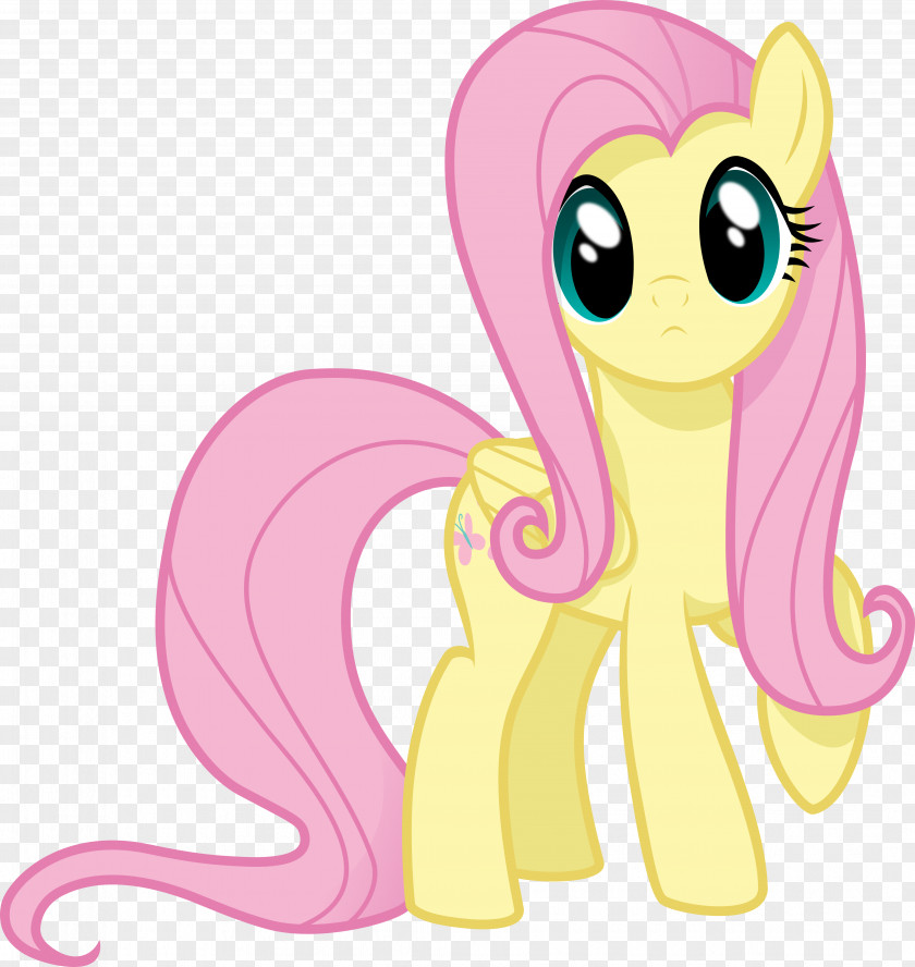 Horse Pony Fluttershy Pinkie Pie Rainbow Dash PNG