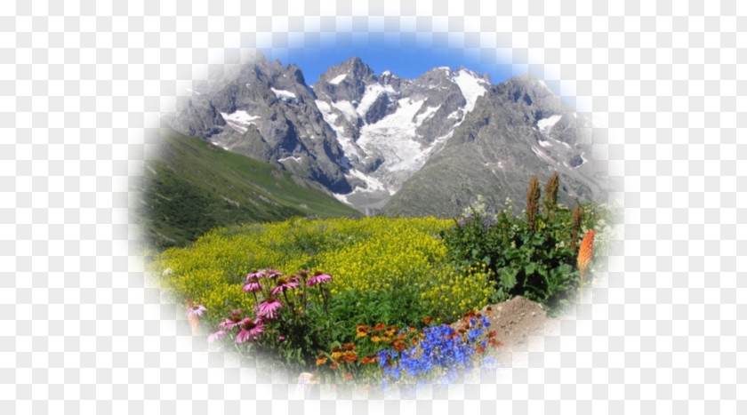 Mountain French Alps Écrins National Park Col Du Lautaret Briançon Mont Blanc PNG