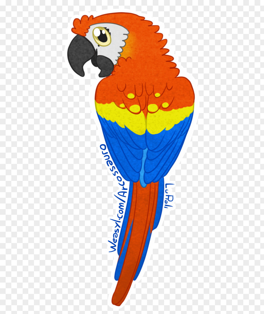 Cangaccedilo Badge Scarlet Macaw Parrot Sticker Beak PNG