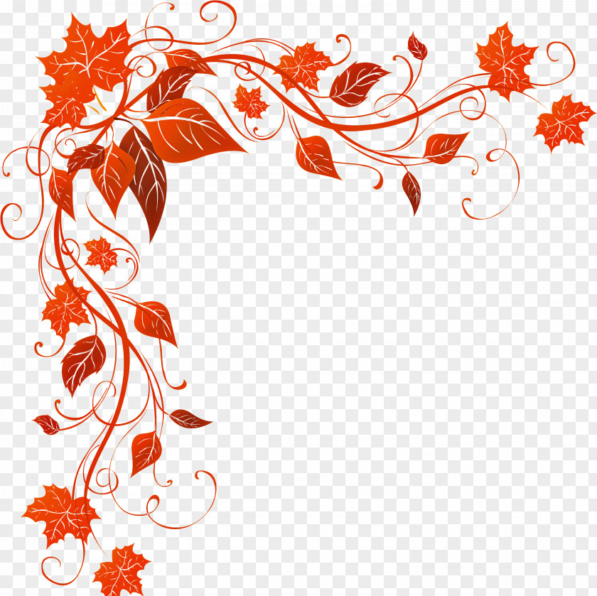 Floral Design PNG