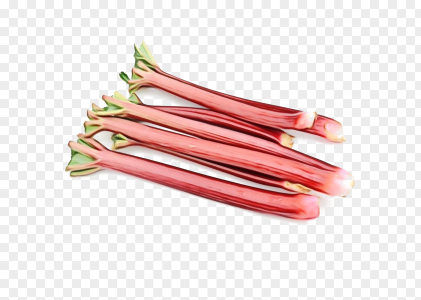 Garden Rhubarb PNG