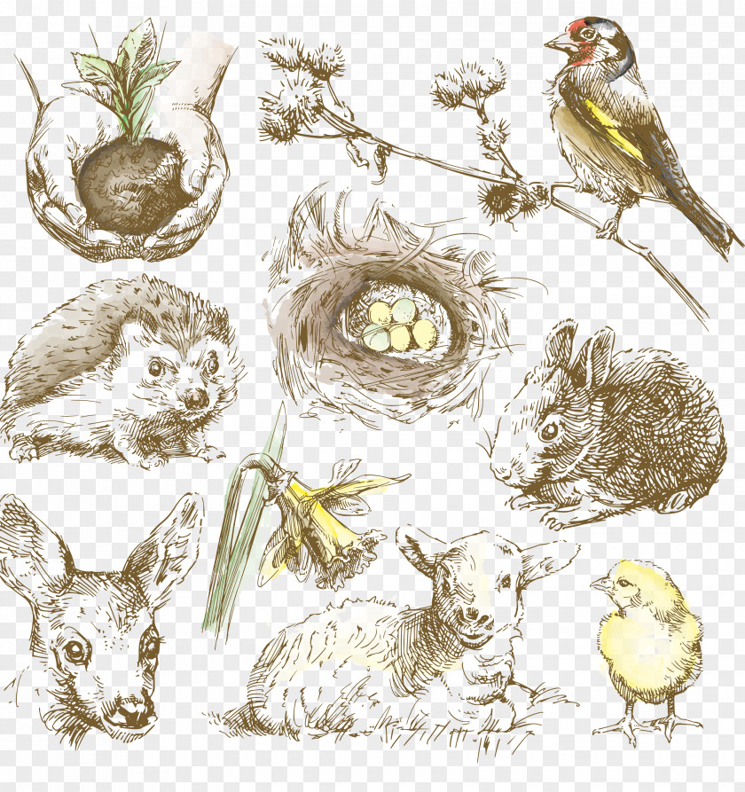 Hand-painted Animals Artwork Drawing Animal Royalty-free Illustration PNG
