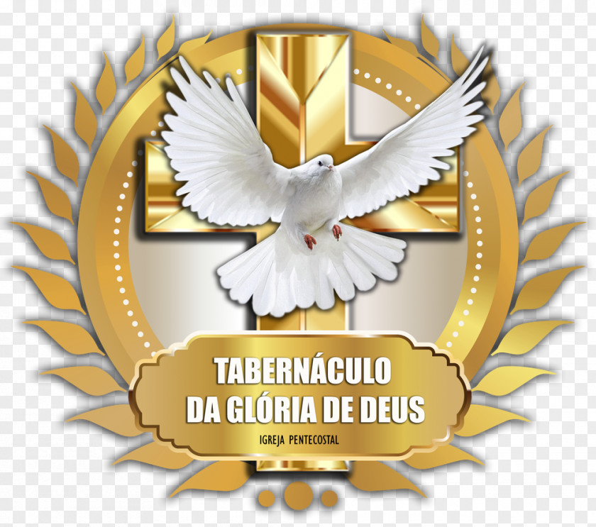Nalgas Tabernacle Logo Brand God Font PNG