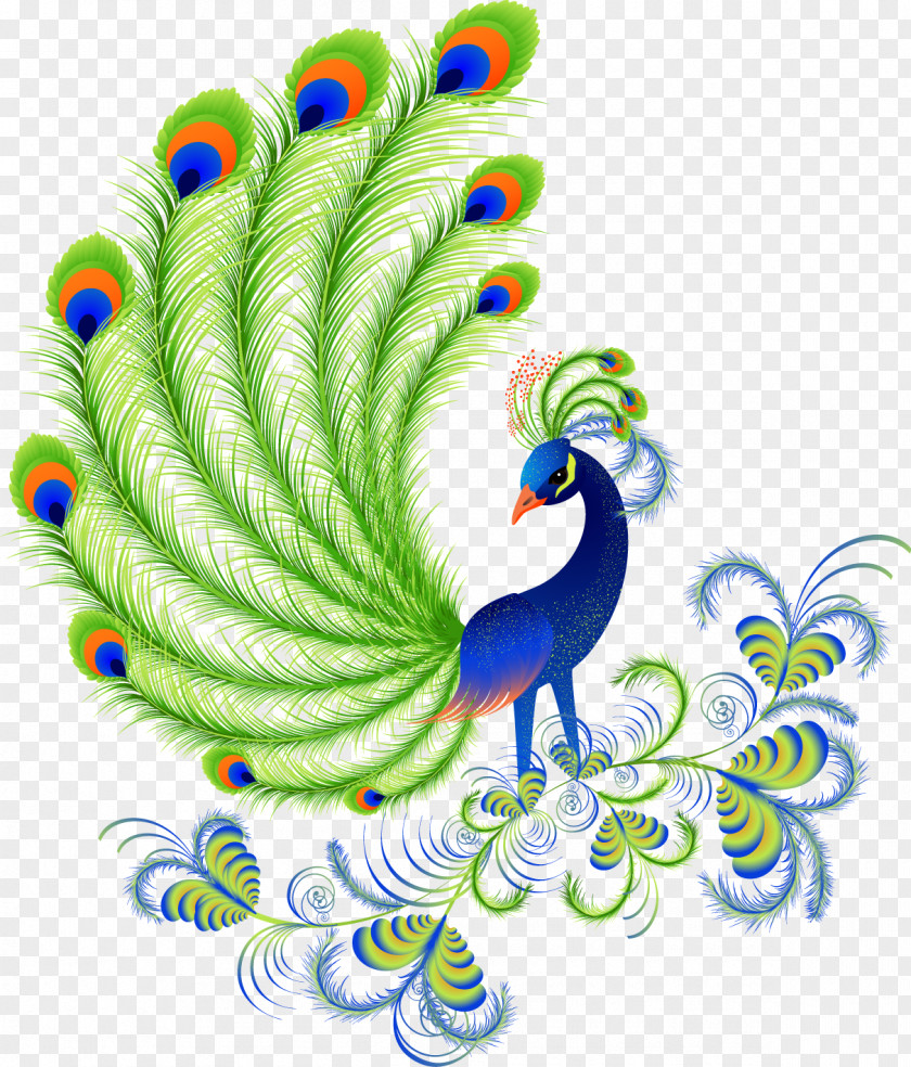 Peacock Peafowls, Peacocks And Peahens. Including Facts Information About Blue, White, Indian Green Peacocks. Breeding, Owning, Keeping Raising Peafowls Or Covered. Bird Feather Clip Art PNG
