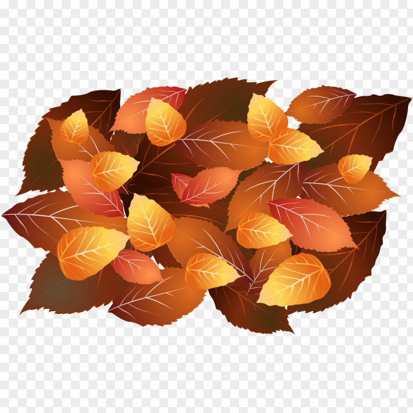 Autumn Leaves Yellow Orange PNG