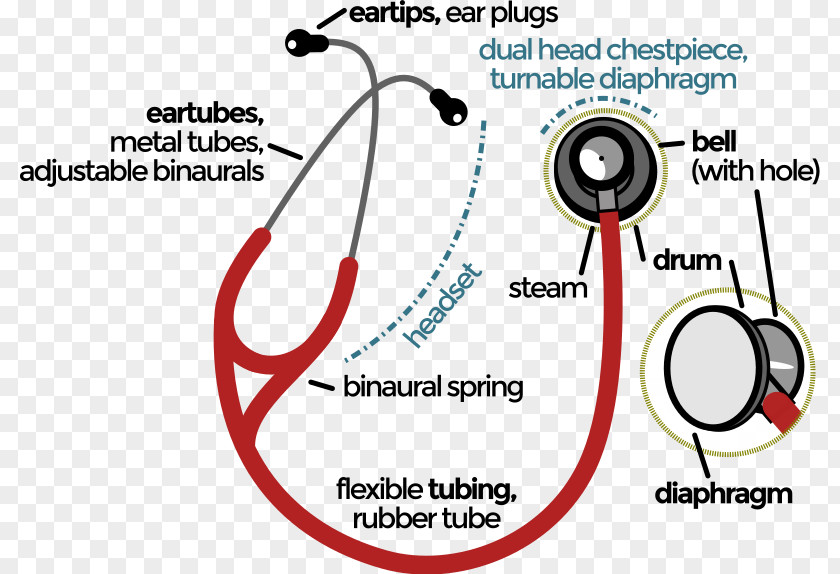 Blood Pressure Stethoscope Physician Auscultation Cardiology Medicine PNG