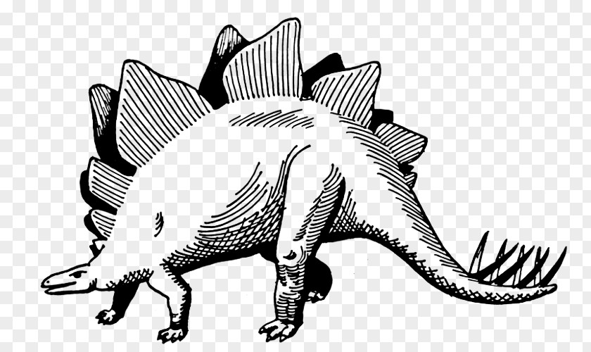 Dinosaur Stegosaurus Drawing Coloring Book Painting PNG