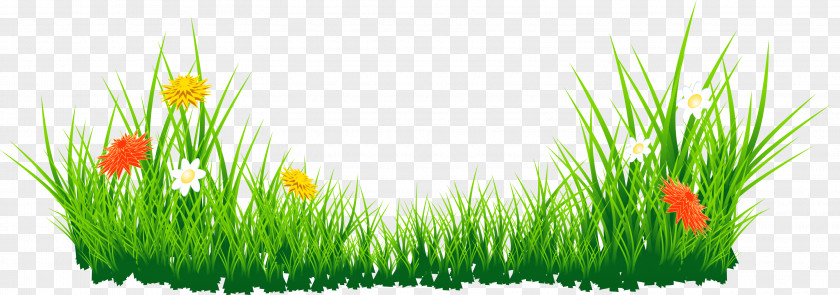 Flowers With Grass Picture Clip Art PNG