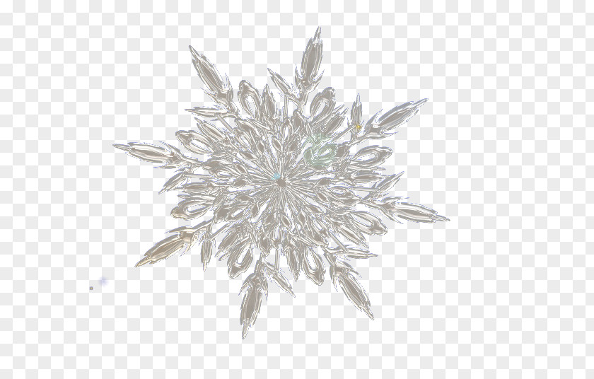 White Crystalline Snowflakes Snowflake Crystallization PNG