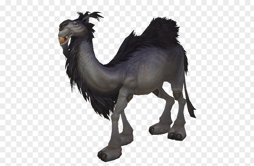 Australian Feral Camel Dromedary World Of Warcraft: Battle For Azeroth Massively Multiplayer Online Game Grey Horse Tack PNG