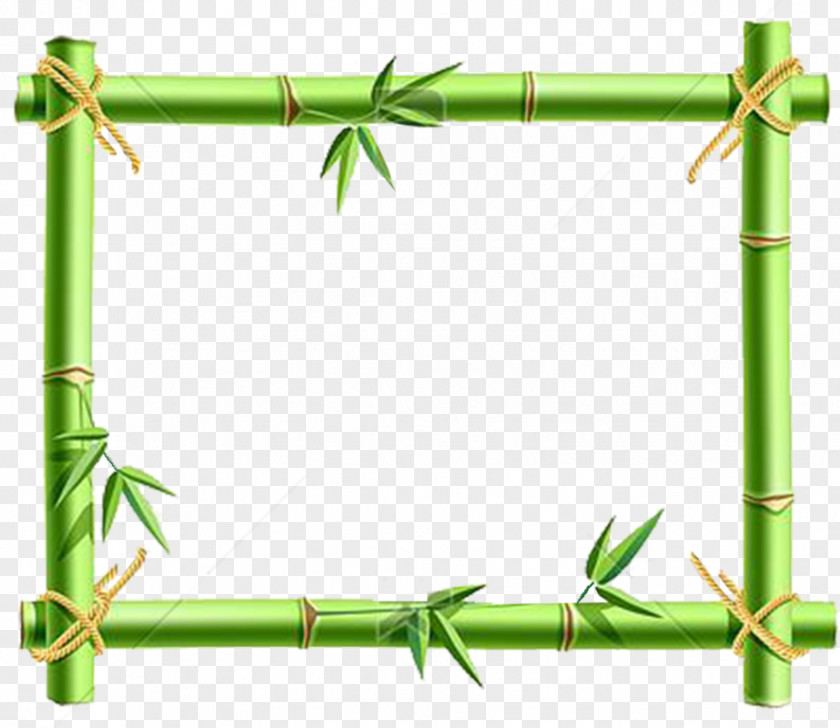 Bamboo Drawing Clip Art PNG