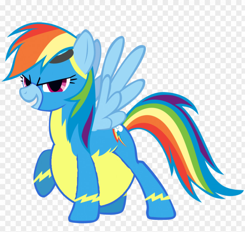 Fan Service Rainbow Dash My Little Pony: Friendship Is Magic Fandom Ekvestrio PNG