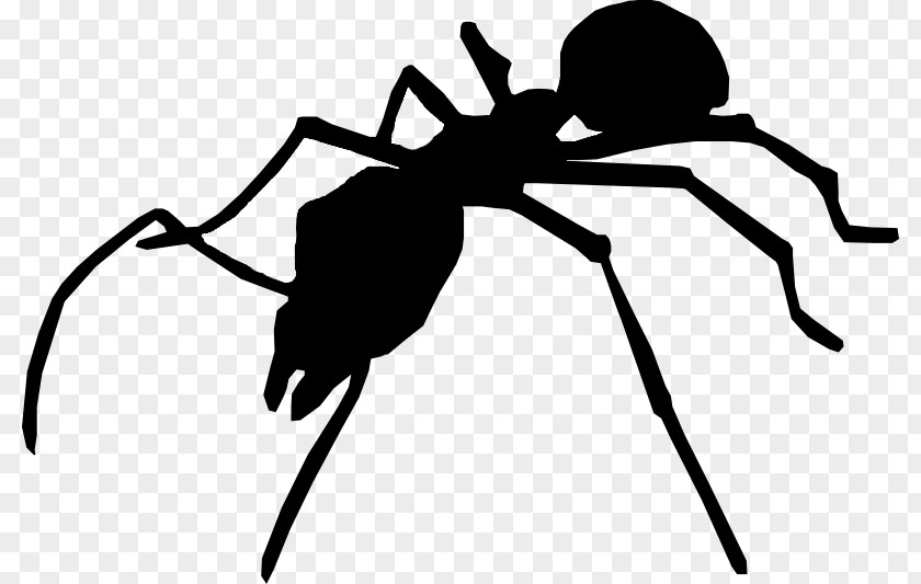 Fly Ant Silhouette Insect Myrmecia Nigriceps PNG