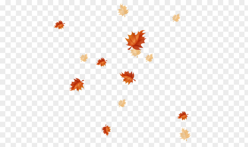 Maple Leaf Floating Element Autumn Leaves Petal PNG