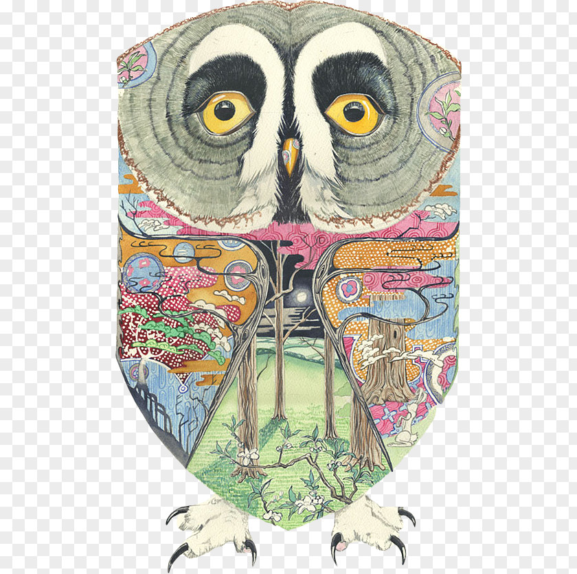Owl Visual Arts Watercolor Painting Illustrator Illustration PNG