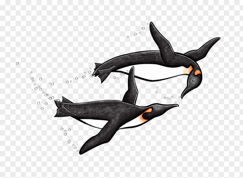 Animal Figure Fin Shark Background PNG