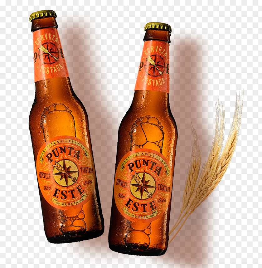 Beer Lager Bottle Estrella Damm De Levante Fabrica Cerveza Sa PNG