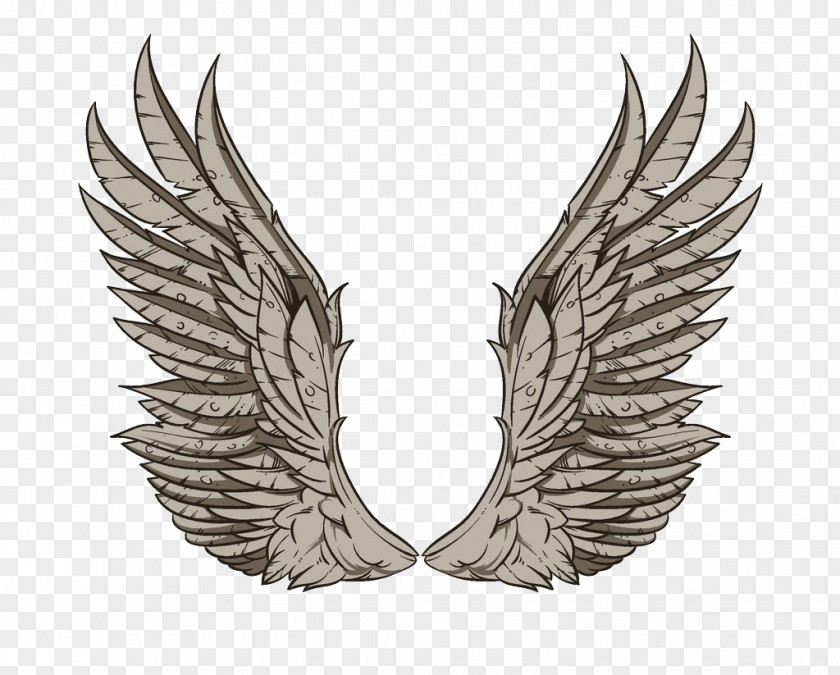 Gray Wings Wing Clip Art PNG