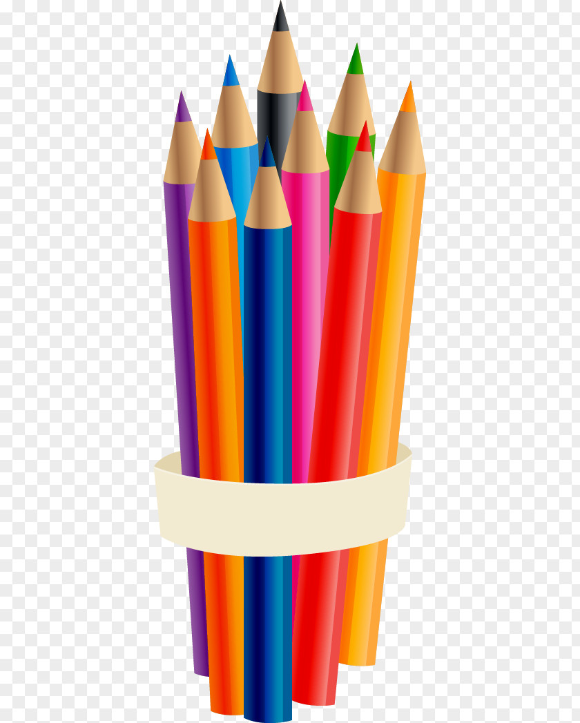 Vector Hand-drawn Color Pencil Colored Drawing Euclidean PNG